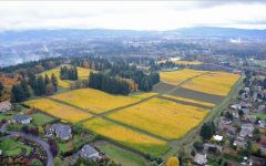 Four Graces Foley Family Vineyard Winery Image