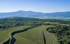 Poggio Antico  Winery Image