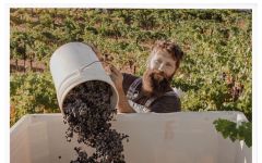 I. Brand & Family Wines Winemaker Ian Brand Winery Image