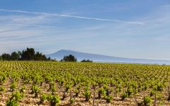 Chateau de Nalys Chateau de Nalys - La Crau Winery Image