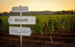 Roserock by Drouhin Oregon Winery Image