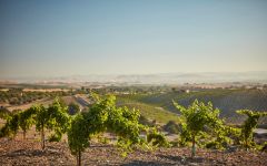 Chronic Cellars HQ in Paso Robles, CA. Winery Image