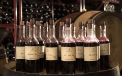 Ornellaia Meticulously Selected Wine Samples Winery Image