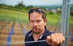 Weingut Dr Heyden Winery Image
