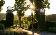 Francis Ford Coppola Winery Francis Coppola Winery, Geyserville CA Winery Image