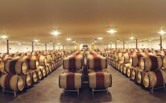 Chateau Malartic-Lagraviere Winery Image