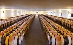 Chateau Mouton Rothschild The Great Barrel Hall Winery Image