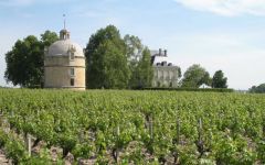 Chateau Latour Winery Image