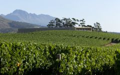 Glenelly Winery Image