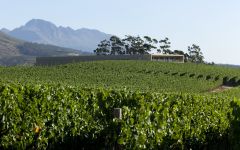 Glenelly  Winery Image