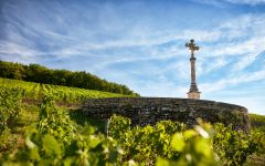 Louis Latour Domaine Louis Latour Winery Image