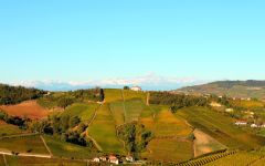 Massolino View from the Terrace Winery Image