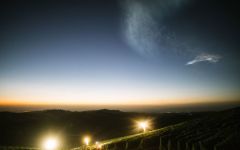 DAOU Vineyards Headlamps and Harvest Winery Image