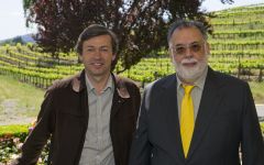 Inglenook Francis Coppola & Philippe Bascaules Winery Image