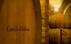 Castello di Gabbiano Winery Image