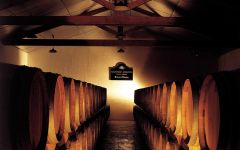 Barton & Guestier Chateau Magnol Cellar Winery Image