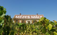 Royal Tokaji Wine Company Hughs Cottage in Mezes Maly Vineyard. Winery Image