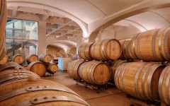 Umberto Cesari Umberto Cesari Barrel Room Winery Image