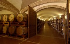 Zenato Cellar at Zenato Winery Image