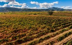 Bodegas Ontanon Mount Isasa and El Pozo vineyard Winery Image