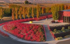 Pedestal Long Shadow Vitners' Winery Winery Image