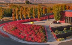 Pedestal Long Shadow Vitners' Winery Winery Image