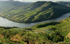 Ferreira Porto Duoro River Winery Image