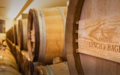 Chateau Lynch-Bages Oak Barrel Ageing  Winery Image