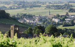 Le Grand Courtage Winery Image
