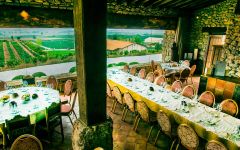 Valduero Tasting Room overlooking the vines  Winery Image