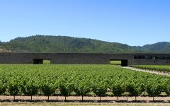 Dominus Estate Dominus Estate in Yountville Winery Image