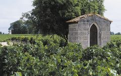 Chateau Pichon Longueville Comtesse de Lalande The Vineyard Winery Image