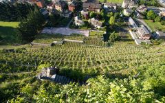Ar. Pe. Pe. The Pelizzatti Vineyard Site Winery Image