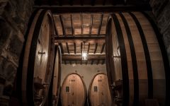 Piccini Piccini Barrel Room Winery Image