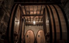 Piccini 1882 Piccini Barrel Room Winery Image