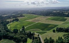 Roserock by Drouhin Oregon Winery Image