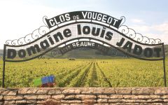 Louis Jadot Jadot Winery Winery Image