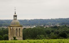 Barton & Guestier AOC Vouvray Vineyards Winery Image