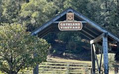 Cathiard Vineyard Welcome to Cathiard Vineyard Winery Image