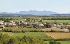 Clos Dalian Winery Image