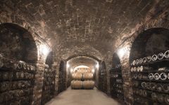 Matteo Correggia Correggia Cellar Winery Image