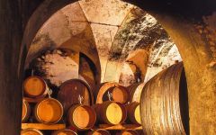 Bercher Winery Image