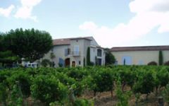 Clos des Papes Winery Image