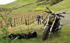 Union Sacre Xavier in Riven Rock Vineyard Winery Image