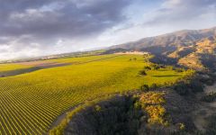 Hahn Santa Lucia Highlands Doctors Vineyard Winery Image