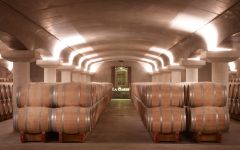 Chateau La Garde  Winery Image