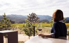 Hall Terrace Overlooking Vineyards Winery Image