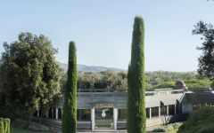 Ornellaia The Estate Entrance Winery Image