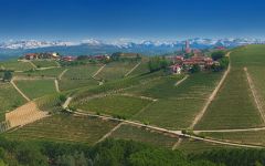 Bruno Giacosa Panorama of Vineyards in Neive Winery Image