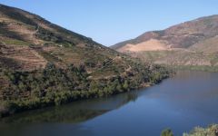 Quinta do Vale Meao The Douro Valley Winery Image